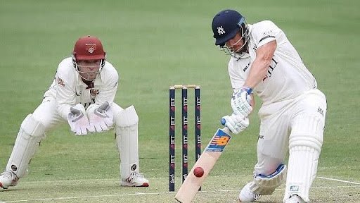 cricket betting